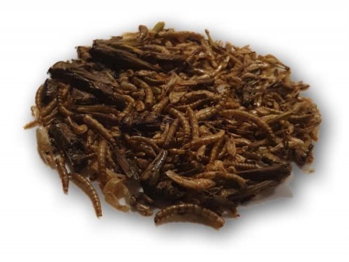 Tørrede insekter til gnavere og mindre kæledyr, ideelle som proteinrig snack for hindbær, mus og andre smådyr. Gnavernes Univers tilbyder sund og velsmagende fodertilskud.