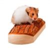 Husdyret hamster sidder på en naturlig træplatform, der giver perfekt klatre- og legeplads. Ideel til gnavere for at fremme aktivitet og underholdning. | gnavernes univers