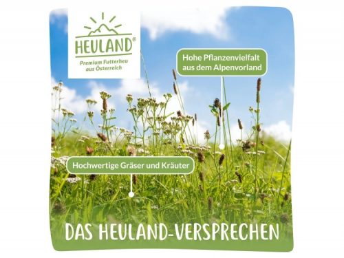 Alpine hø marken | gnavernes univers