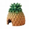 Ananas hule | gnavernes univers