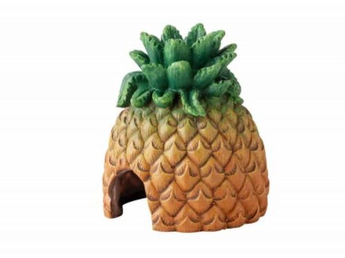 Ananas hule
