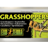 Exo terra græshopper 34g | gnavernes univers