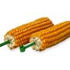 Jr farm majskolber 200g 1 | gnavernes univers