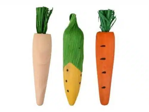 210253 SAT VIKAS CARROT CORN YELLOW NATURE ORANGE 3PCS DIA. 2x10CM