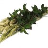 Jr12890 jr farm urtehøst 80g åben | gnavernes univers