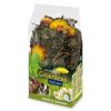 Jr16127 jr farm grainless plus kamille-mælkebøtte100g | gnavernes univers