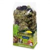 Jr16129 jr farm grainless plus kommen-mælkebøtte 100g | gnavernes univers