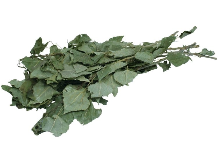 Jr17821 jr farm tørrede birkegrene 40g åben | gnavernes univers Jr17821 jr farm tørrede birkegrene 40g åben | gnavernes univers