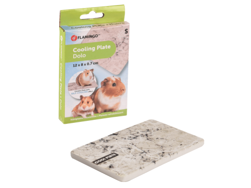 COOLING STONE DOLO GREY S
