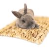 Jr23823 - jr farm vandhyacintmåtte 33x24cm kanin | gnavernes univers