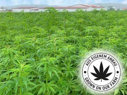 Jr23909 - jr farm grainless health cbd sticks pels & hud 75g mark | gnavernes univers