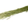 Jr18674 - jr farm timothy høst 80g åben | gnavernes univers
