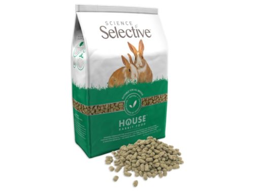 Science selective kanin house | gnavernes univers