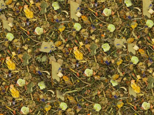 Jr24663 - jr farm plastikfri marsvinefoder uden piller 2 kg - ånen 1 | gnavernes univers