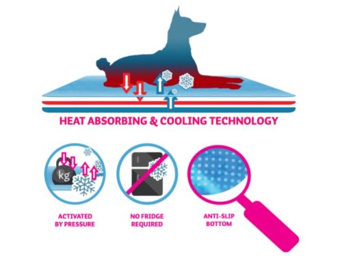 Coolpets premium cooling måtte 3 | gnavernes univers
