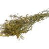 Jr farm dildhøst 80g åben | gnavernes univers