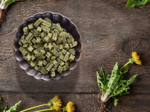 Jr farm grainless complete dværgkanin 1350g 1 | gnavernes univers