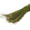 Jr farm naturgræshøst 80g åben | gnavernes univers