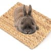 Rosewood chill 'n chew mat | gnavernes univers