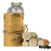 Hamster på træstub med legetøj til gnavere fra robipet. Billedet viser en sød hamster der kigger ud fra en stamme, omringet af træstykker, ideelt til leg og aktivitet for små kæledyr. | gnavernes univers