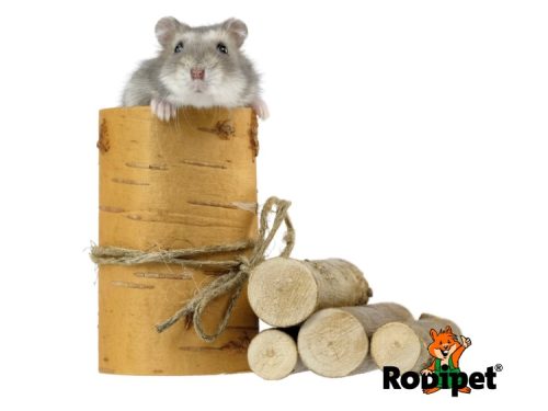 Hamster på træstub med legetøj til gnavere fra Robipet. Billedet viser en sød hamster der kigger ud fra en stamme, omringet af træstykker, ideelt til leg og aktivitet for små kæledyr.