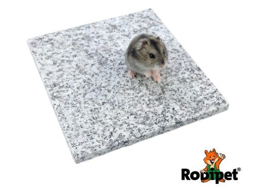 Hamster på granitplade fra Rodipet, ideel til små kæledyr i bur. Perfect til at skabe en behagelig og sikker plads for dit kæledyr.