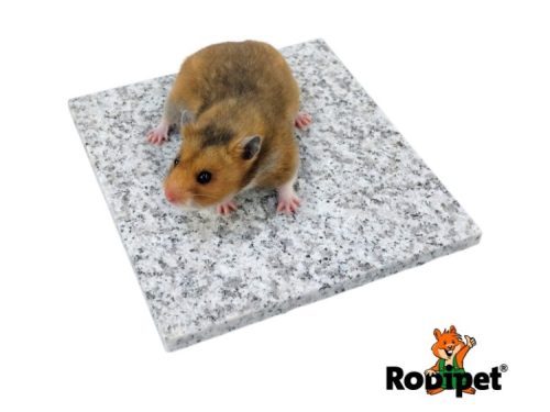 Hamster på en kølende granitplade fra Robipet, ideel til at holde din gnaver komfortabel og kølig.