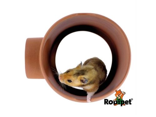 En hamster, der udforsker et rør fra rodipet, designet til gnavere og mindre kæledyr. Røret giver plads til leg og aktiv udforskning, perfekt til små kæledyr. | gnavernes univers