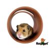 Hamster i en terracotta tunnel fra rodipet, ideel til leg og skjul for mindre kæledyr som gnavere. | gnavernes univers
