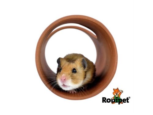 Hamster i en terracotta tunnel fra Rodipet, ideel til leg og skjul for mindre kæledyr som gnavere.