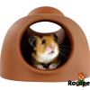 Hamster i en brun hule fra rodipet, ideel til at skabe hyggelige og sikre omgivelser for dit kæledyr. Perfekt til gnavere og mindre kæledyr. | gnavernes univers