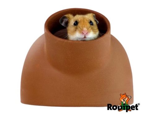 En hamster kigger nysgerrigt ud af en terracotta hule fra brandet Rodipet, der er ideel som skjulested og legetøj til små kæledyr.
