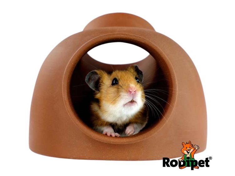 25470 - rodipet® easyclean terra keramik kubel | gnavernes univers Hamster i en brun hule fra rodipet, ideel til at skabe hyggelige og sikre omgivelser for dit kæledyr. Perfekt til gnavere og mindre kæledyr. | gnavernes univers