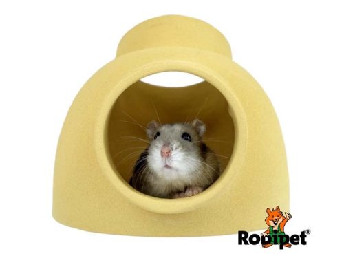 Lille hamster i en robipet hule, ideel til gnavere som giver tryghed og komfort. | gnavernes univers