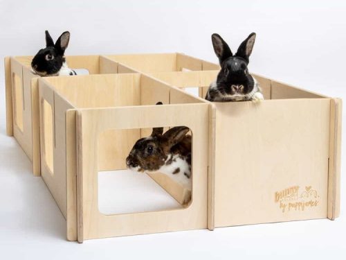 Tre kaniner kigger ud fra en træindhegning designet til gnavere, lavet af Bunny by Puppijne. Indhegningen tilbyder en sikker og rummelig legeplads for mindre kæledyr.