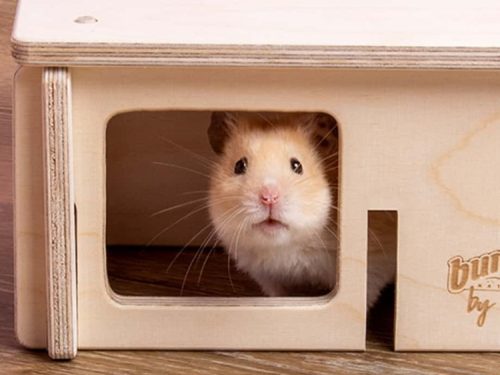 Hamster i en træhule fra brandet buni, ideel til små kæledyr som gnavere. Hulen giver et trygt og hyggeligt miljø til leg og hvile. | gnavernes univers