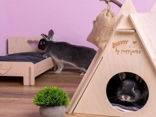 To små kaniner interagerer i et indbydende rum med en træhytte og en seng fra mærket Bunny by Puppijames. Den ene kanin kigger ud fra hytten, mens den anden undersøger sengen med hjerteformet udsnit. Grønne planter tilføjer liv til indretningen.