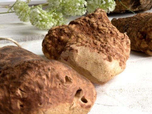 Naturlige gnavergrene til leg og tandpleje, ideelle til hamstere og mus. Perfekte til at stimulere dyrenes naturlige instinkter og sikre sund tandpleje. | gnavernes univers
