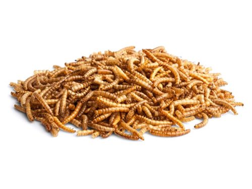 Tørrede melorme til gnavere og mindre kæledyr, rig på protein og næringsstoffer, ideel som sund snack eller belønning.