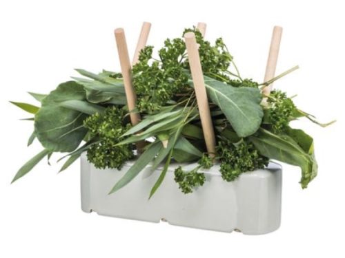 Gnaver snack holder fyldt med friske urter og grønt, ideel til gnavere og mindre kæledyr. Perfekt til at stimulere deres naturlige tyggeinstinkter.