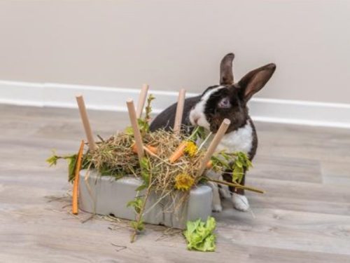 En kærlig kanin leger med en halmbund med grøntsager og træpinde, ideel til gnavere og mindre kæledyr. Perfekt til stimulerende leg og naturlig kost.