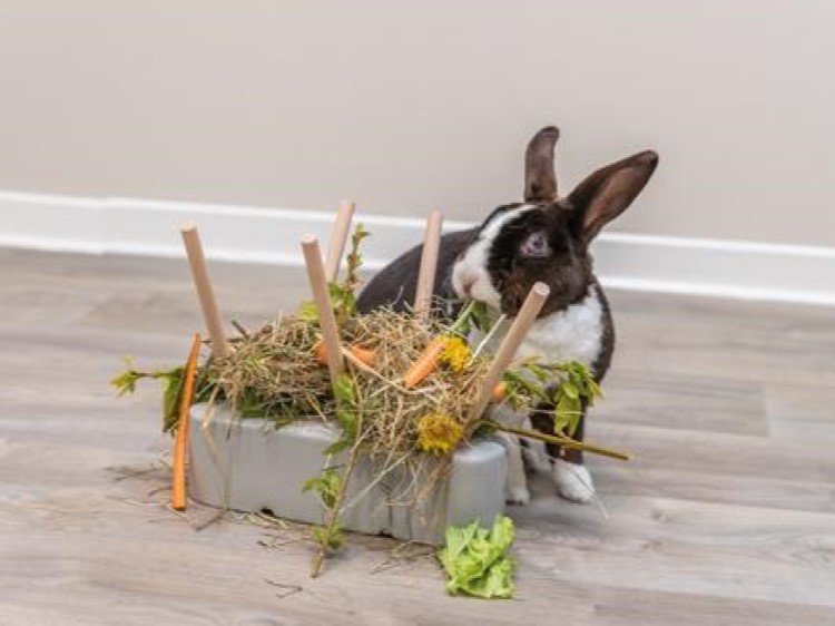 Trixie food manger ceramic-wood 3 | gnavernes univers En kærlig kanin leger med en halmbund med grøntsager og træpinde, ideel til gnavere og mindre kæledyr. Perfekt til stimulerende leg og naturlig kost. | gnavernes univers