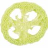 Naturlig loofah skive til små kæledyr. Ideel til at stimulere gnaveinstinkter og holde tænderne sunde. Perfekt til hamstere, kaniner og andre gnavere. | gnavernes univers