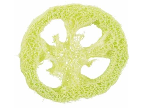 Naturlig loofah skive til små kæledyr. Ideel til at stimulere gnaveinstinkter og holde tænderne sunde. Perfekt til hamstere, kaniner og andre gnavere. | gnavernes univers